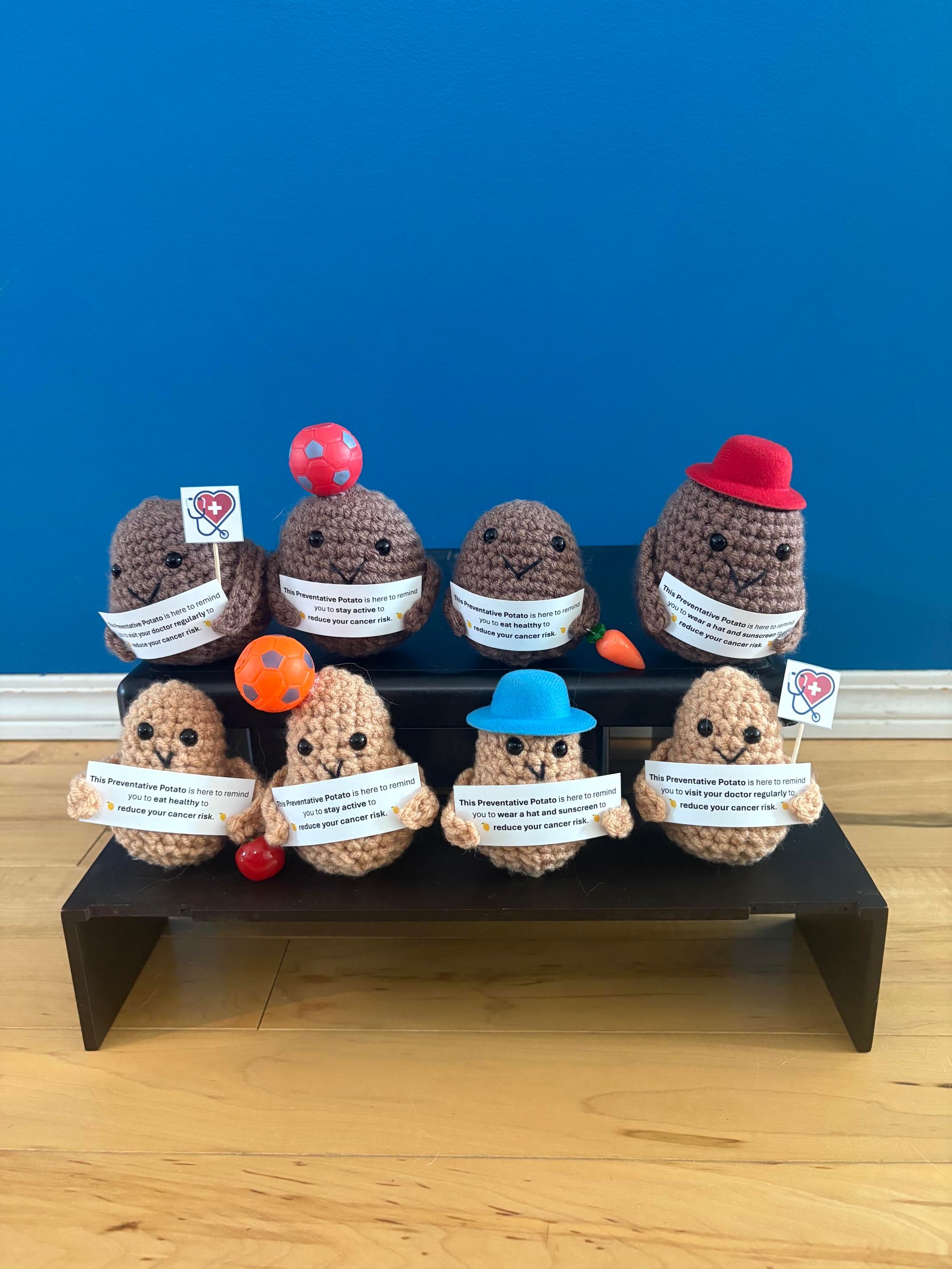 A photo of all of the varieties of preventative potatoes the Wedlake girls have created